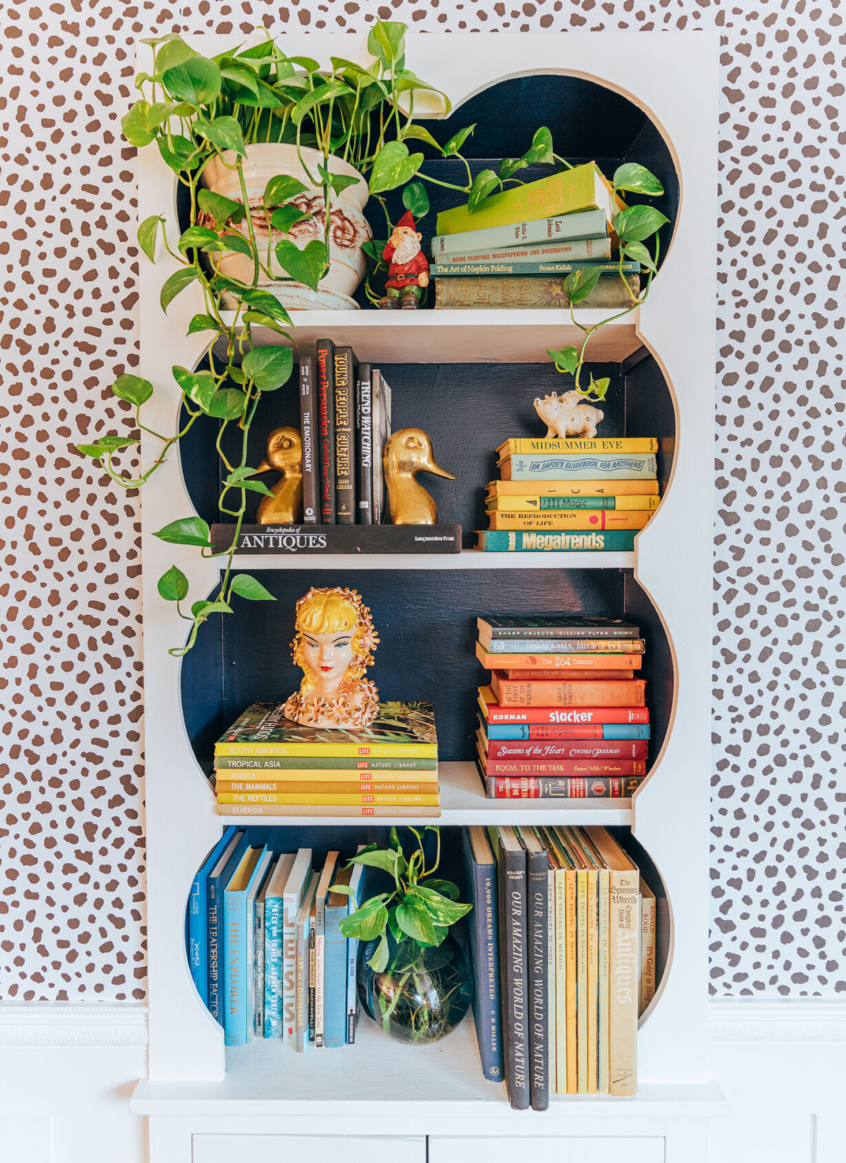 A+ shelfie